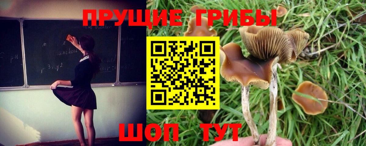 Псилоцибиновые грибы GOLDEN TEACHER  Вход с VPN  Ишимбай 